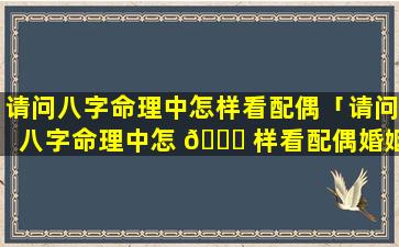 请问八字命理中怎样看配偶「请问八字命理中怎 🍀 样看配偶婚姻」